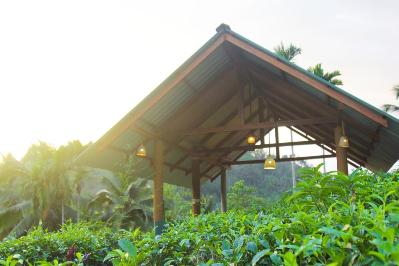 Rainforest Mount Lodge 代尼耶耶 外观 照片