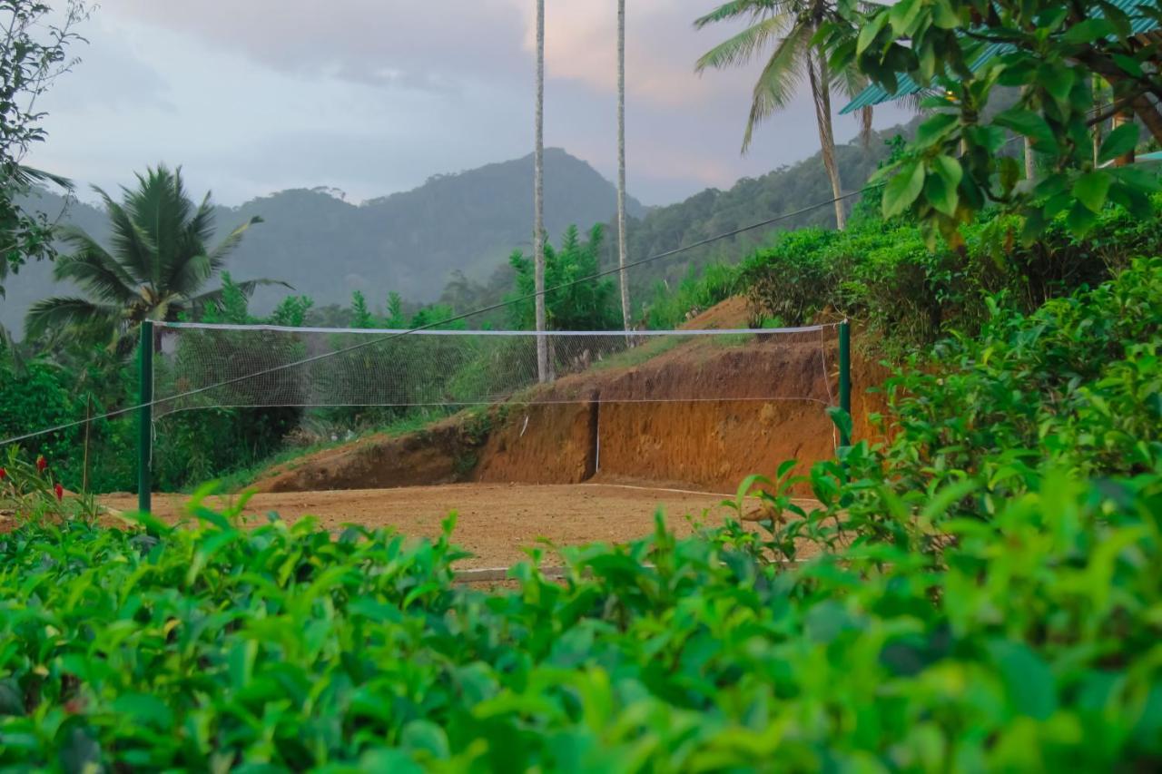 Rainforest Mount Lodge 代尼耶耶 外观 照片