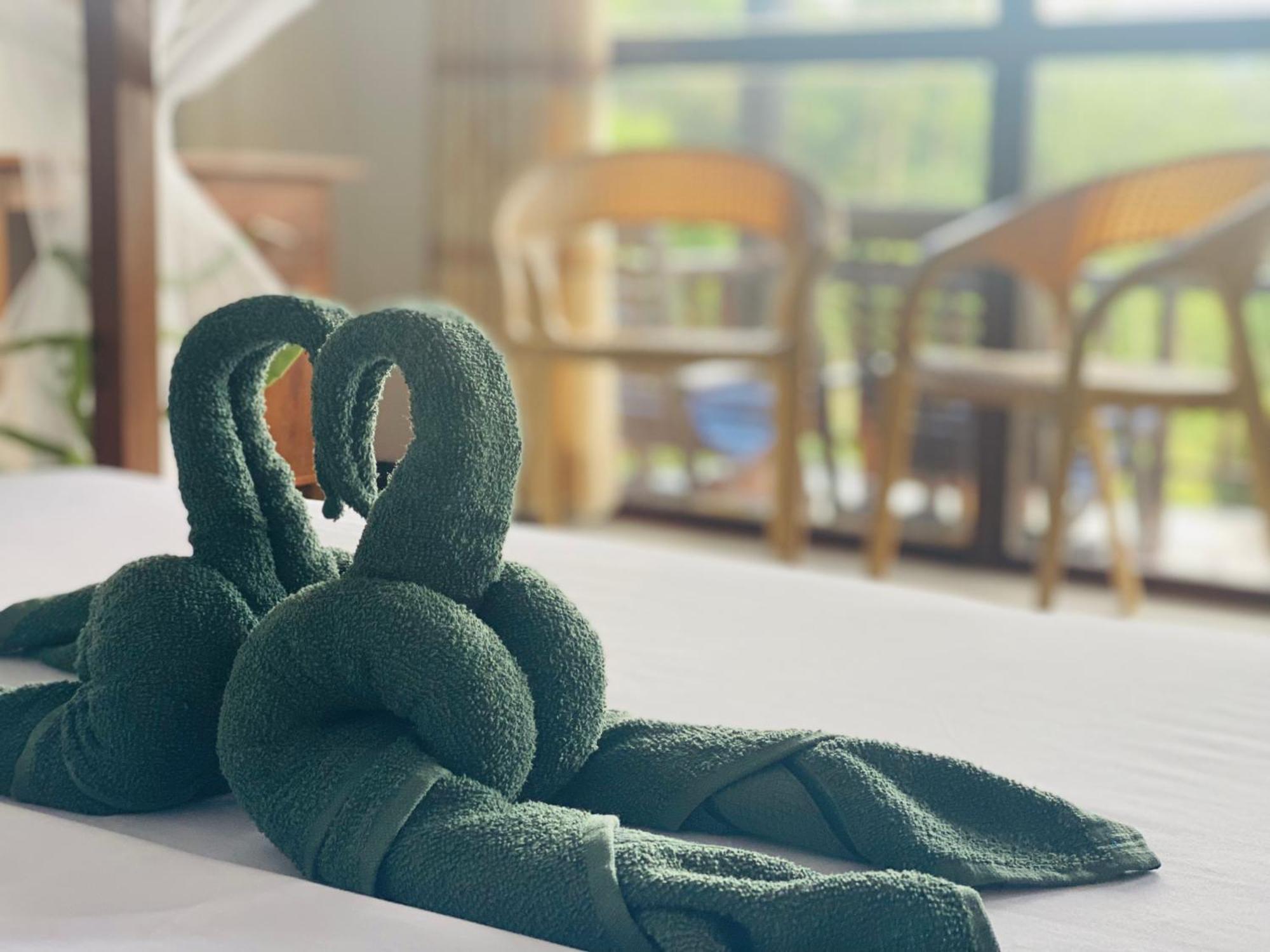 Rainforest Mount Lodge 代尼耶耶 外观 照片