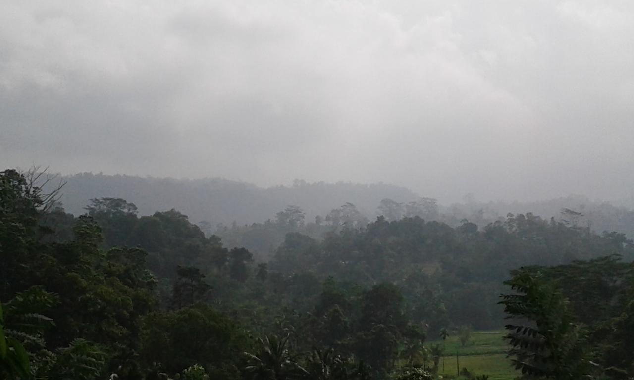 Rainforest Mount Lodge 代尼耶耶 外观 照片