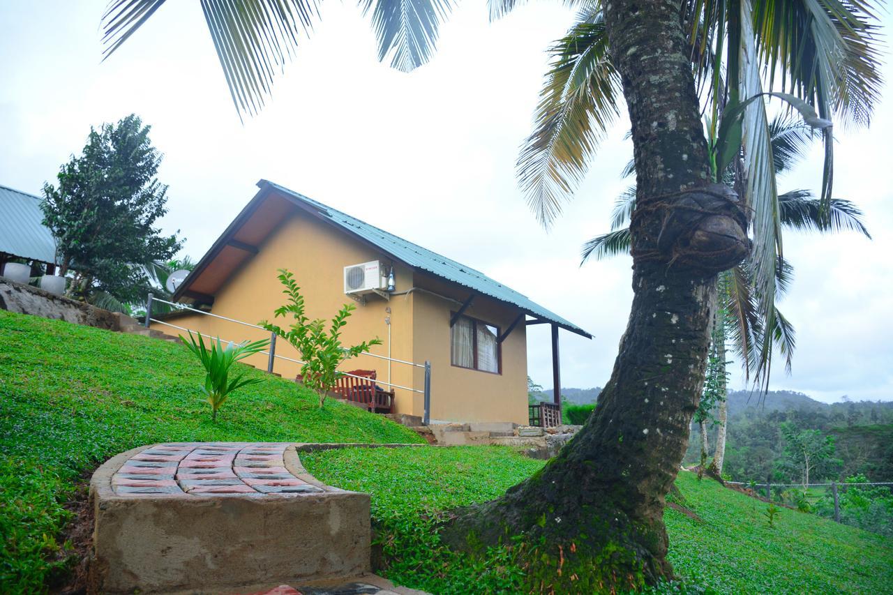 Rainforest Mount Lodge 代尼耶耶 外观 照片