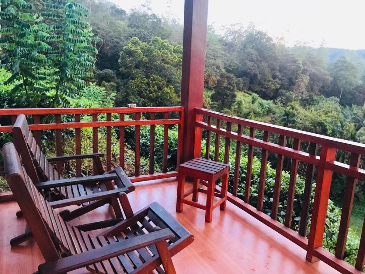 Rainforest Mount Lodge 代尼耶耶 外观 照片